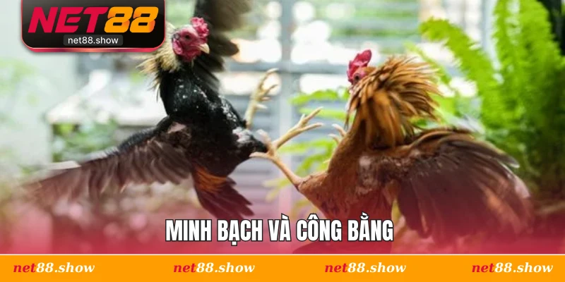 Minh bạch và công bằng 